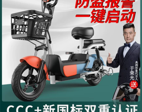 二手电瓶车50众行 HLD01 电动自行车...