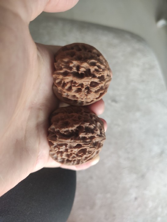 文玩核桃  42苹果园，练手好对儿，货底清...