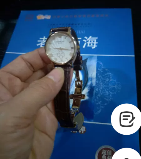 手表 罗西尼手表，9.5层新，就戴过3次，...