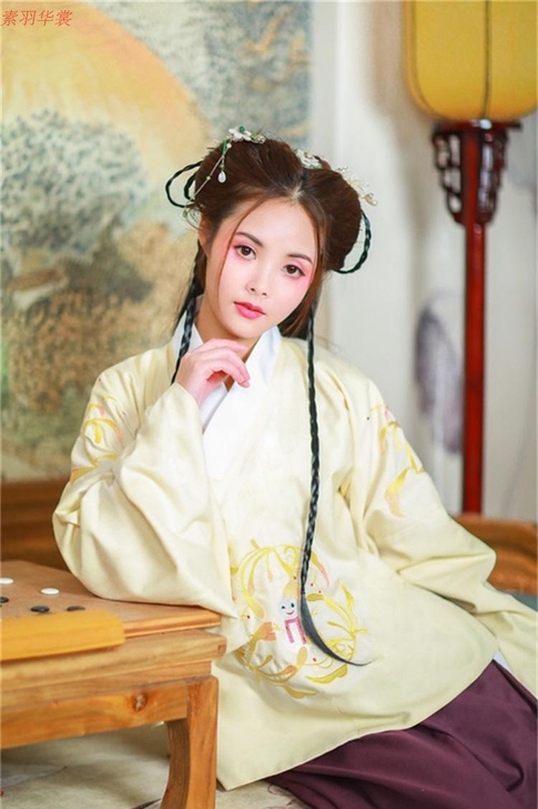 素羽华裳新款汉服女传统交领袄裙忍冬刺绣绣花...
