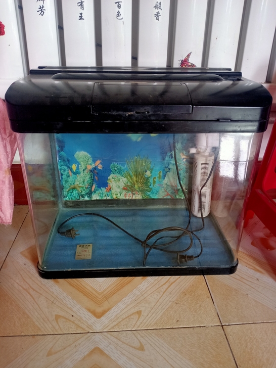 503525八成新要的私聊，带一个打氧泵原...