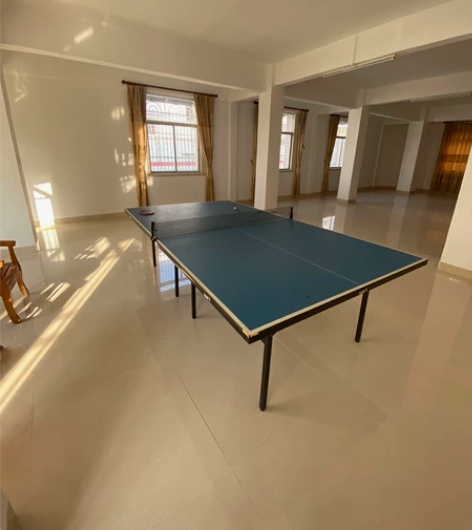 【全新包邮】双鱼乒乓球桌家用折叠移动式标准...