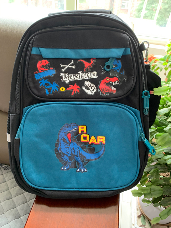 全新小学生书包，适合二三四五年级使用，包邮！