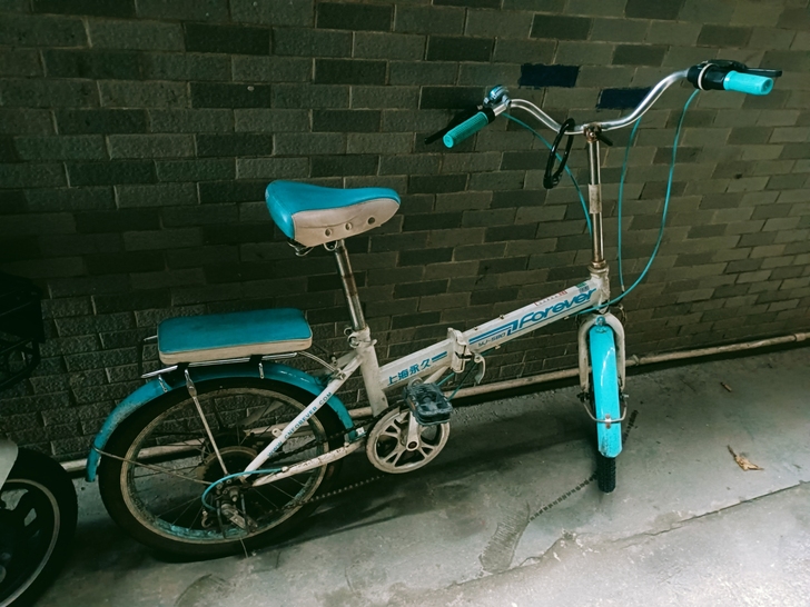 出一台永久自行车,七成新,变速器不能调速,...