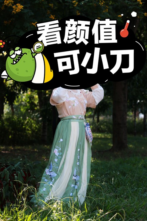 玉术汉服女幽风原创正品坦领齐腰儒裙春夏仙鹤...
