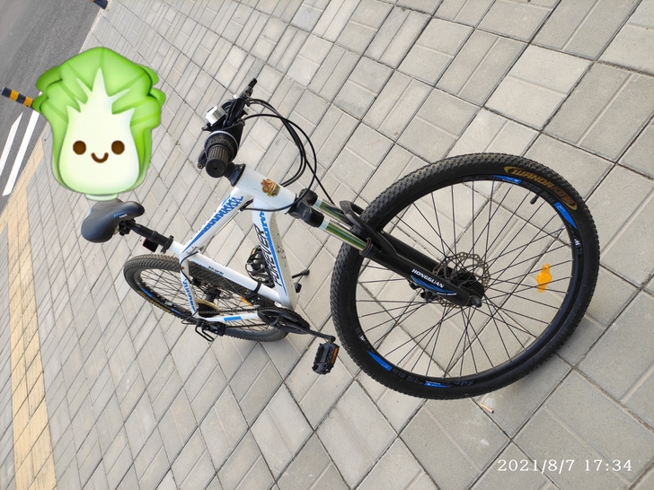 永久山地自行车，95新，图片为最近实拍照片...