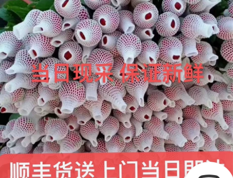 玫瑰花鲜花 29.9元一扎20支 每日鲜切...