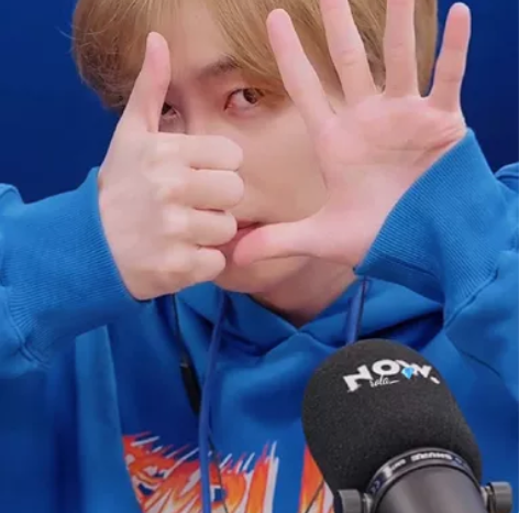 接各团韩泰菲的蓝鸟/ins/脸书代聊，一单...