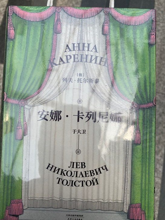 安娜 卡列尼娜 托尔斯泰 于大卫 译本