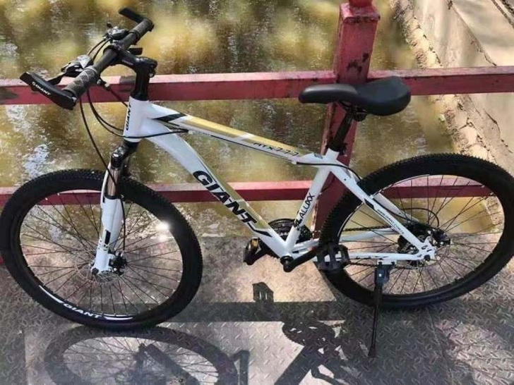 【超值】捷安特越野山地车城市户外自行车男女...