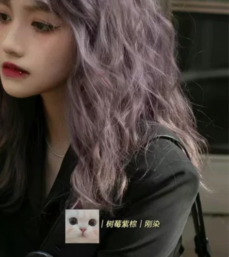 三鑫瑞倪@染发膏贩卖机 独特小众｜树莓紫棕...