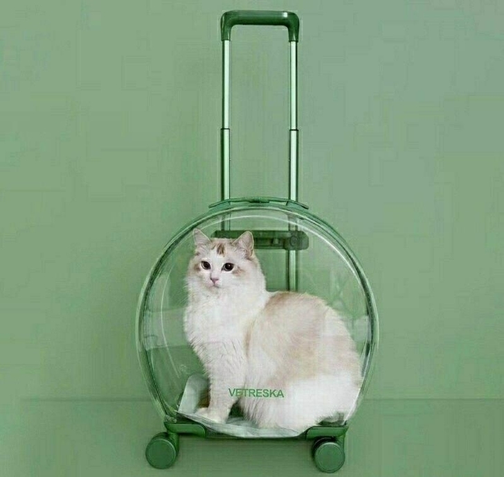 未卡VETRESKA泡泡箱猫咪外出拉杆行李...