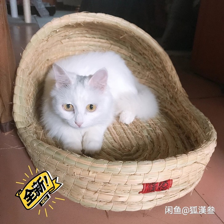 草编猫窝狗窝兔子窝夏季猫抓板大号碗型清凉 ...