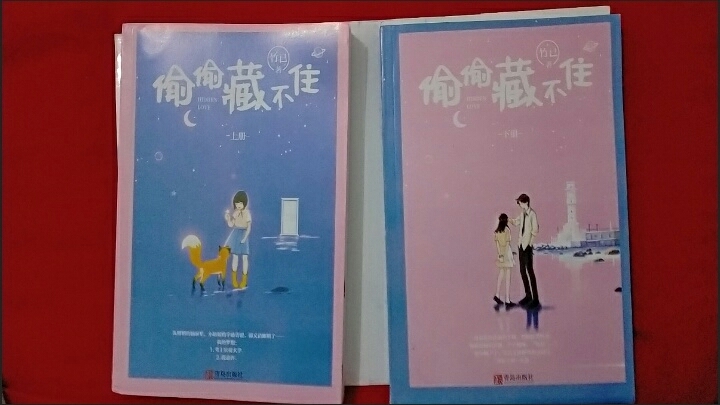 偷偷藏不住    青春言情校园小说多规格