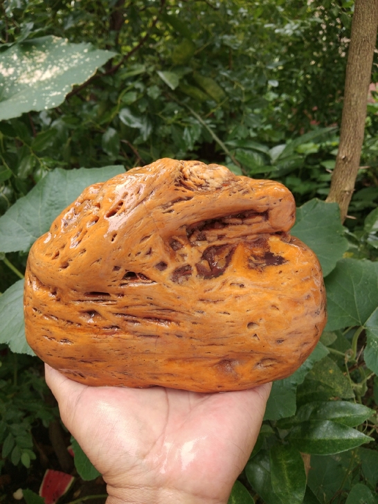 黄腊石#六斤重的稻草纹像形大摆件，（盘龙）...