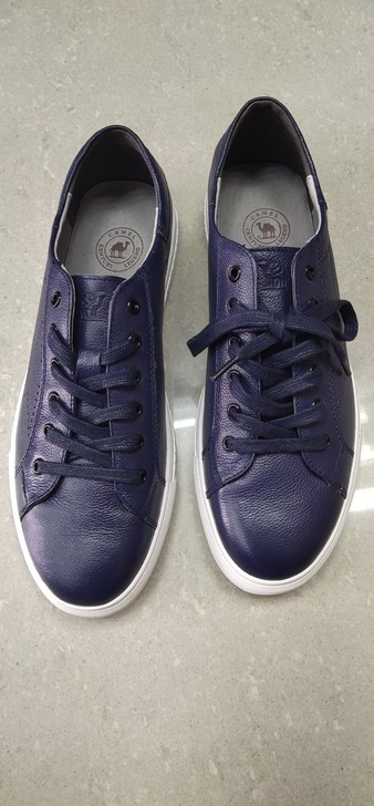 骆驼鞋 专柜正品 仅剩 41码 、全牛皮 ...