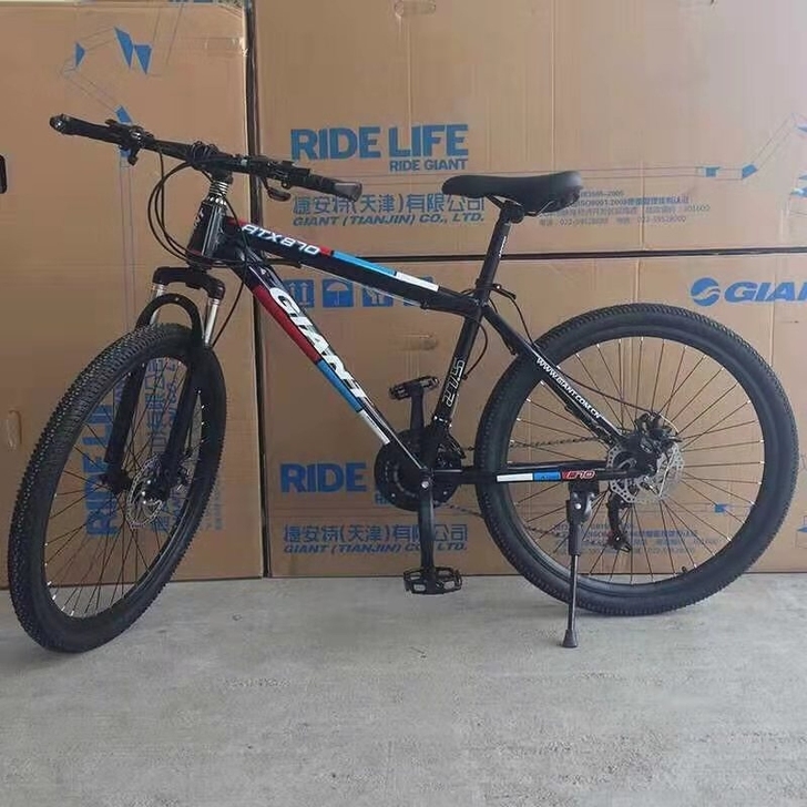 【全新低价处理】捷安特山地车自行车男女中青...