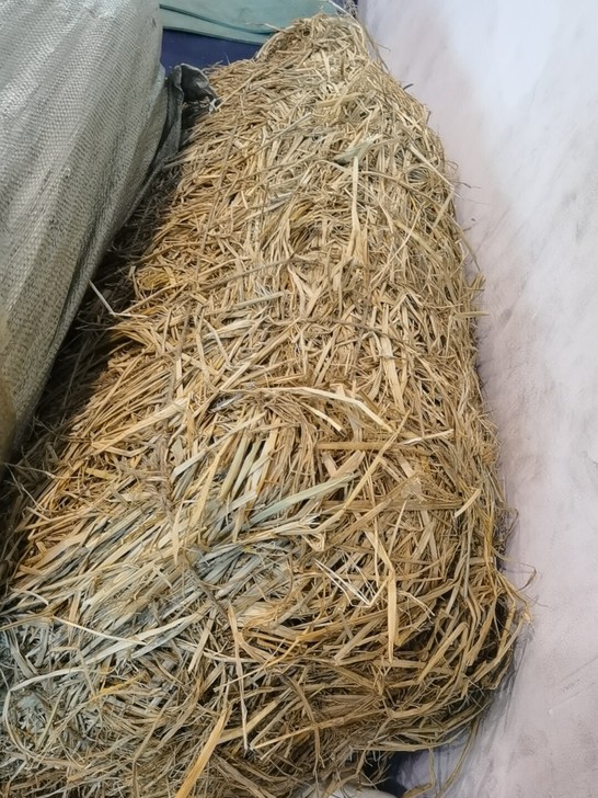戏剧节演出稻草,尺寸120*40*40。6...