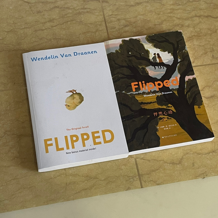 怦然心动中英双语两本。一套两本。闲置。非全...