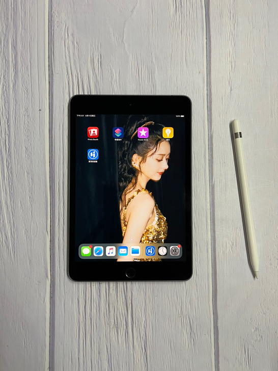 2019款 iPad Mimi5 插卡版 ...