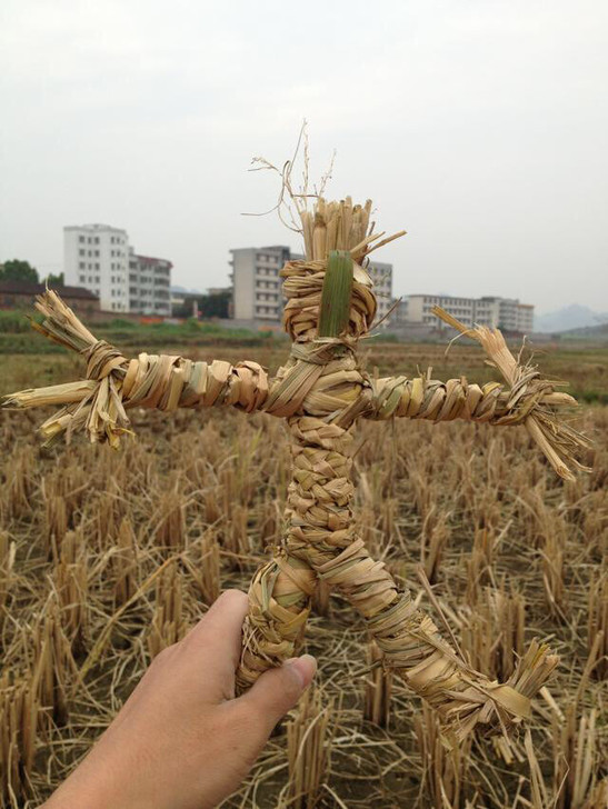 林正英施法专用稻草林正英操控专用稻草可摆设...