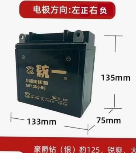 全新统一12N9一4B厚款正极左边摩托车电...
