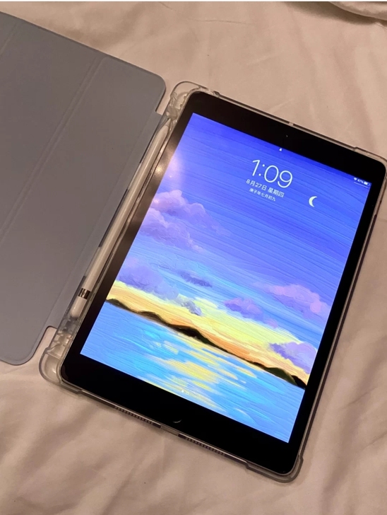 闲置iPad2018 128g平板电脑95...