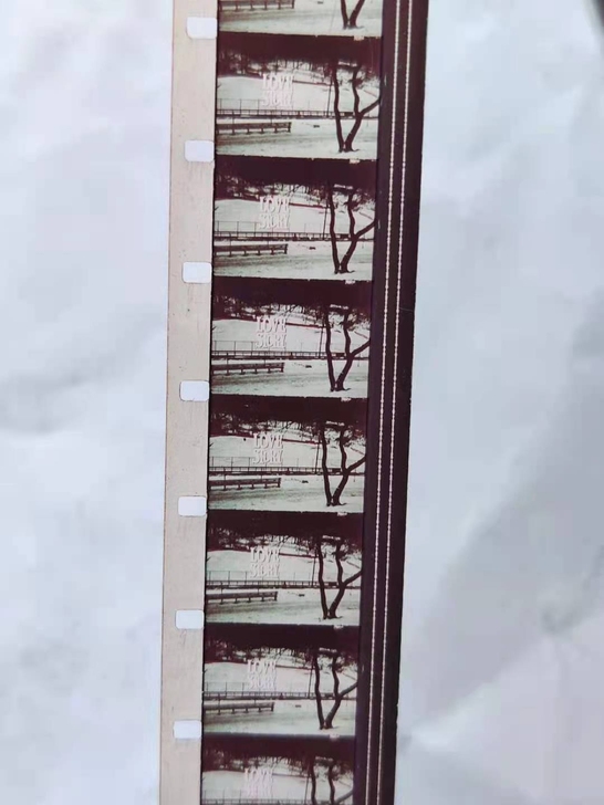 16毫米电影,《爱情的故事》,影片全4本,...