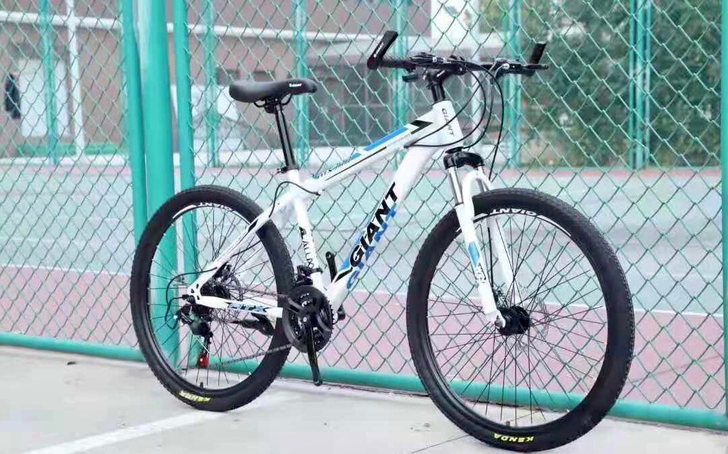 【处理捡漏】捷安特山地车学生男女自行车通勤...