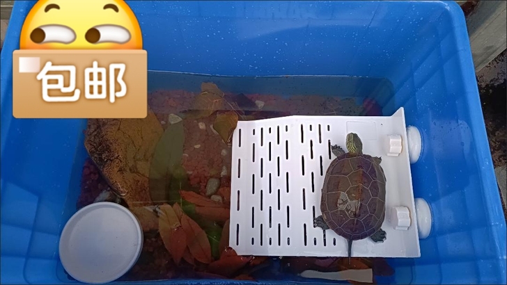 加高周转箱长方形塑料收纳箱价加高加厚零件盒...