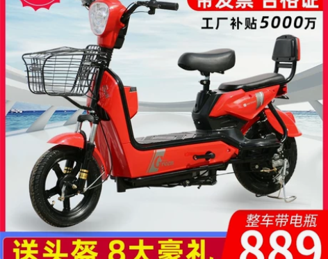 特价捡漏！电瓶车长跑王电动车新国标电动自行...