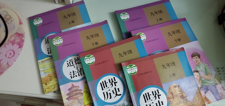 九年级上下册政治历史书出售