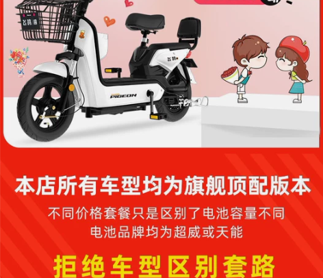 全新包邮飞鸽新国标电动车成人电动自行车48...