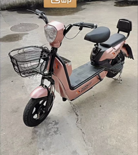 特价出售全新新国标可上牌电动车电瓶车成年男...