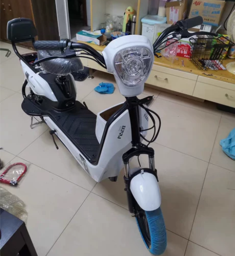 【包邮低价清仓处理】新国标津鹿电动自行车4...