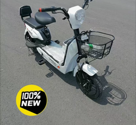 新国标3C电动车，电动车自用，才骑了几个月...