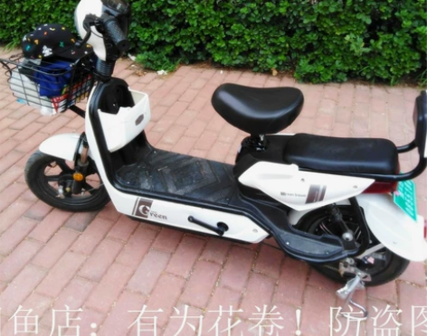 【亏钱,清仓】全新电动车新国标电瓶车电动车...