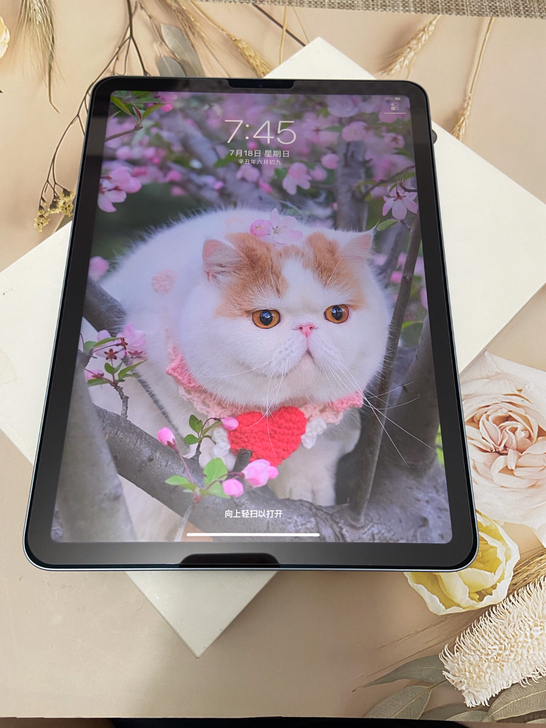 99新2020款iPad Air4  10...