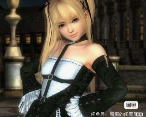 只出不换，玛丽罗斯cos大全套死或生（包首...