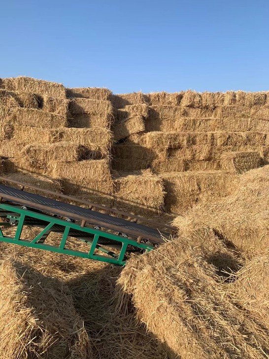 稻草,稻草,稻草,牛羊饲料,蘑菇菌,扎段,...