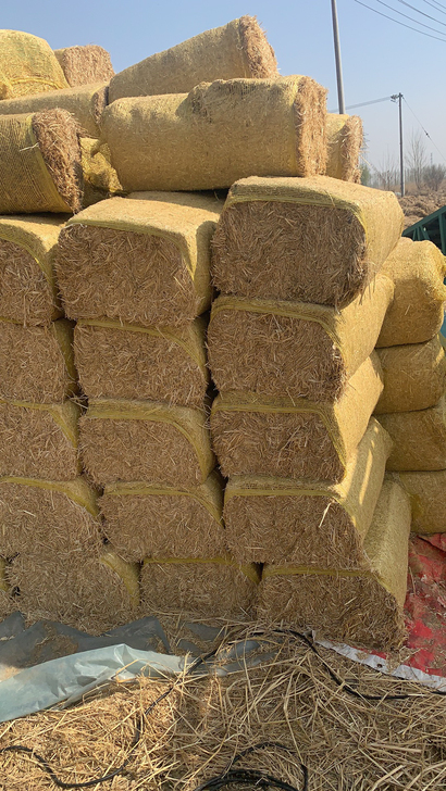 大量柔丝稻草,想要的和我私聊吧