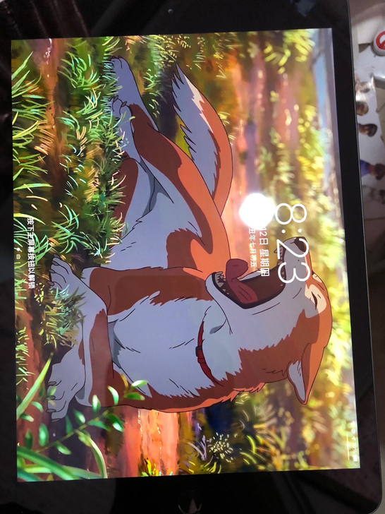 iPad2020款 购入13天后壳有轻微磕...