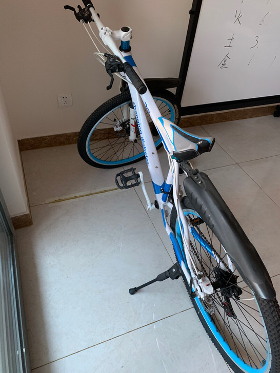 全新车，放家没骑过喜欢可以入手