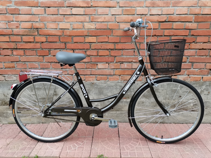 24寸凤凰晟象自行车（送货上门） 全新安装...