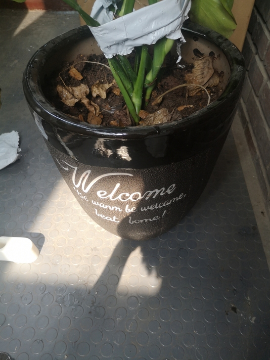 只卖花盆，陶瓷的，高35，口径30