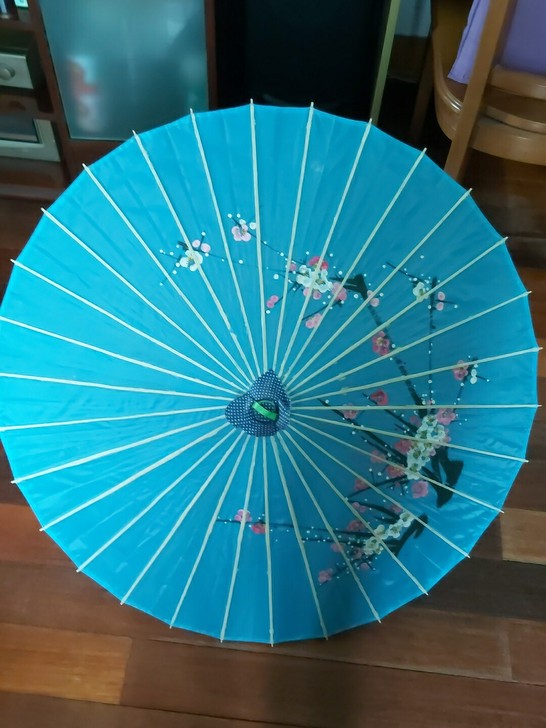 摆拍用油纸伞，蓝色素雅，感觉适合汉服 不知...