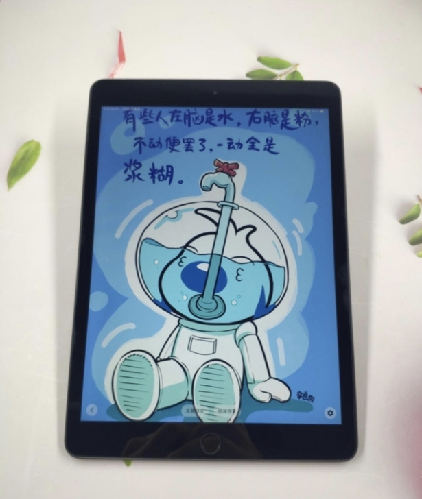 iPad2019 插卡版ipad7自用 1...