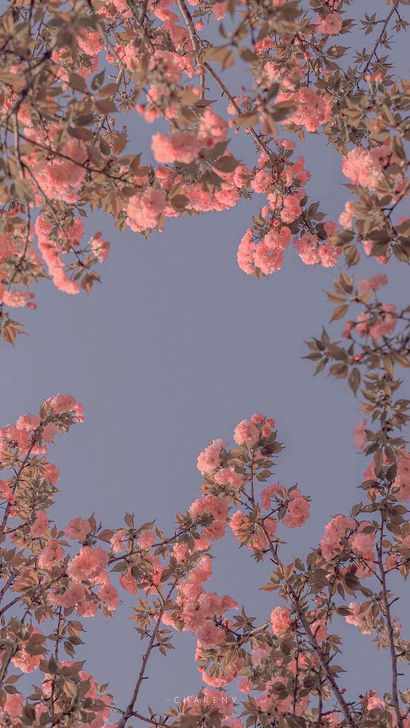 想收一块长板板面，价格合适的留留言