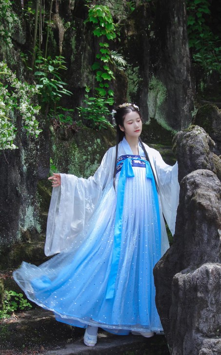 【退圈】辰莲鱼梦两片式齐胸襦裙汉服