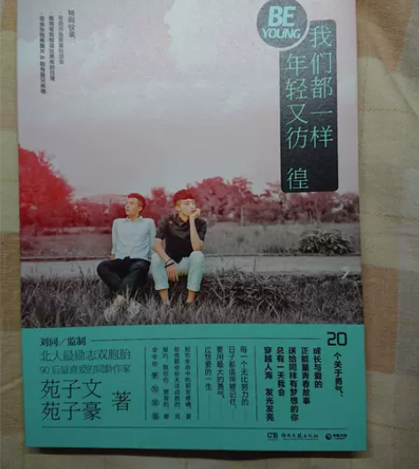 两本包邮青春励志文学小说 苑子文苑子豪  ...